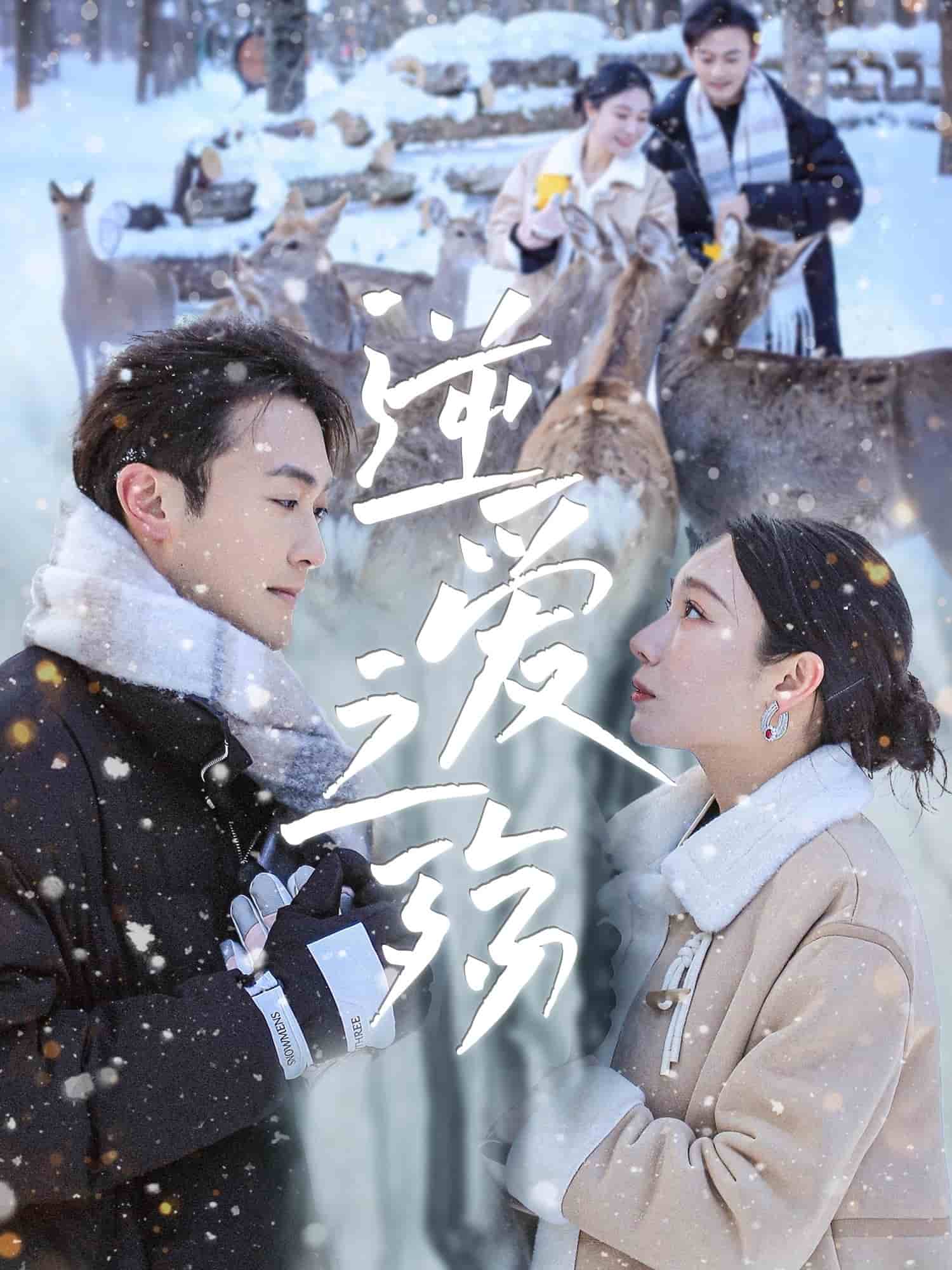 逆爱之殇(全集)