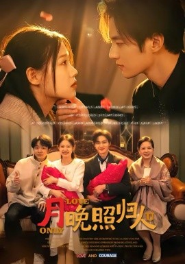 月晚照归人(全集)