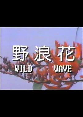 野浪花中字